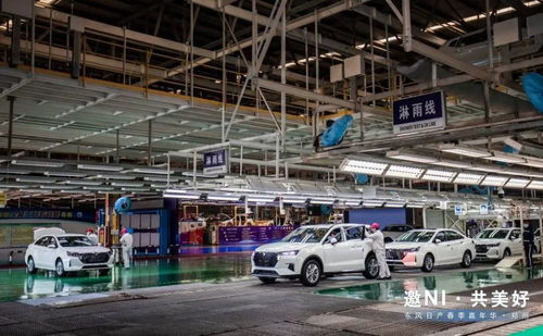 春涌綠城，潮趣煥新 東風日產鄭州春季嘉年華燃情啟幕
